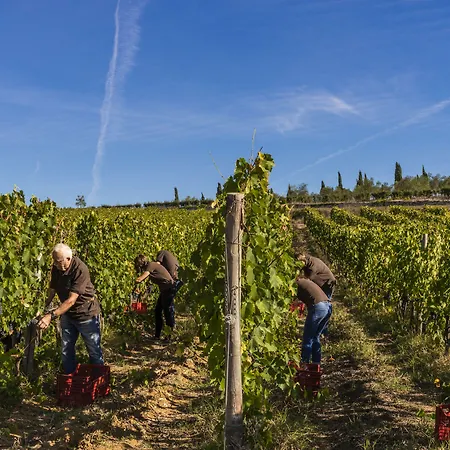 Casavilla By Torre A Cona