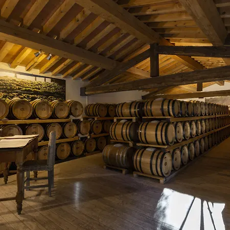 乡村民宿 Casavilla By Torre A Cona 雷吉纳罗苏阿诺